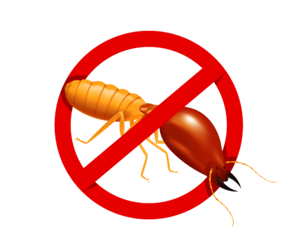 General Pest Service